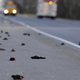 Image for article titled Why are thousands of dead birds suddenly falling from the sky?